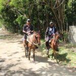 Beach horse back riding with countryside - The Itinerary: Scenic Stops and What to Expect