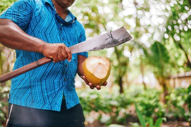 Beachcomber Island Day Trip Fiji's Authentic Island Experience - Arrival and First Impressions