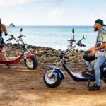Beaches and Backroads Electric Big-Wheel Scooter Tour - Who Will Love This Tour?