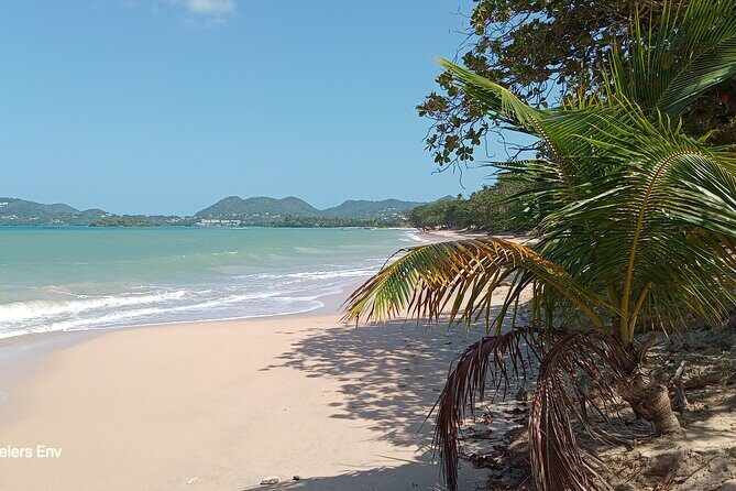 Beaches In Saint Lucia Experience - The Beaches You’ll Visit