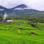 Beauty Of West Bali Tour (Private and All Inclusive) - What’s Included and What’s Not