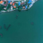 Begnas Lake Freshwater Fish Hunt & Culinary Experience - The Boat Ride: Peaceful & Photogenic