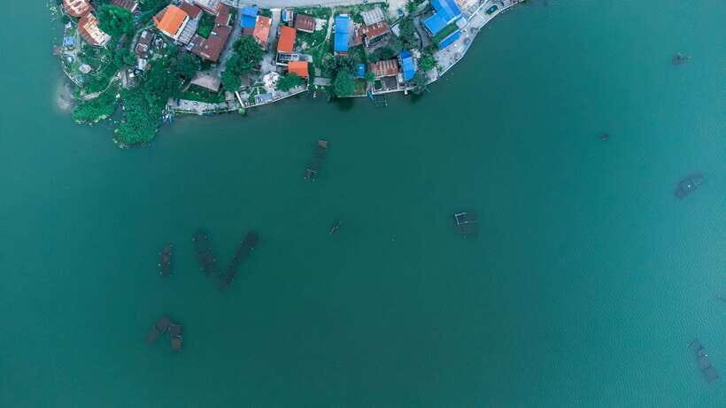 Begnas Lake Freshwater Fish Hunt & Culinary Experience - The Boat Ride: Peaceful & Photogenic