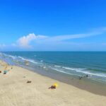 Beihai: Silver Beach, Mangrove Forest & Old Street Tour - Who is This Tour Best For?