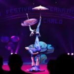 Beijing Acrobatcis Show + Hot Pot Or Local Cuisine Dinner - Insights from Reviews and Experience Details