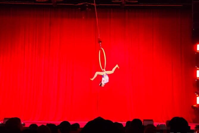 Beijing Acrobatic Show at Regal Palace Theatre (Qin Le Gong - Who Is This Experience Best For?