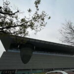 Beijing: Capital Museum tour includes Ticket - Who Will Love This Tour?