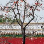 Beijing Forbidden City and Temple Heaven Private Guide Tour - Why this tour might be perfect for you