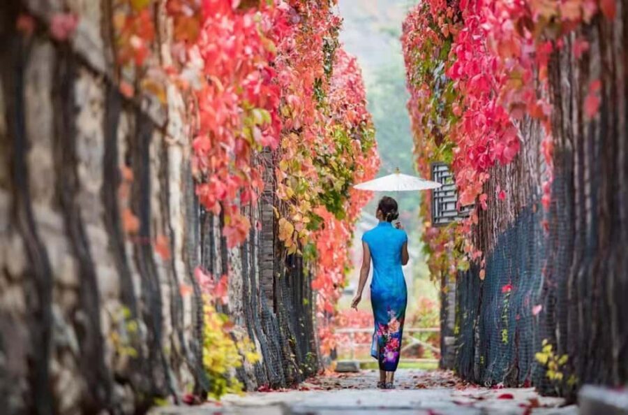 Beijing: Gubei Water Town & Simatai Great Wall Private Tour - Authentic Details From Reviewers’ Experiences