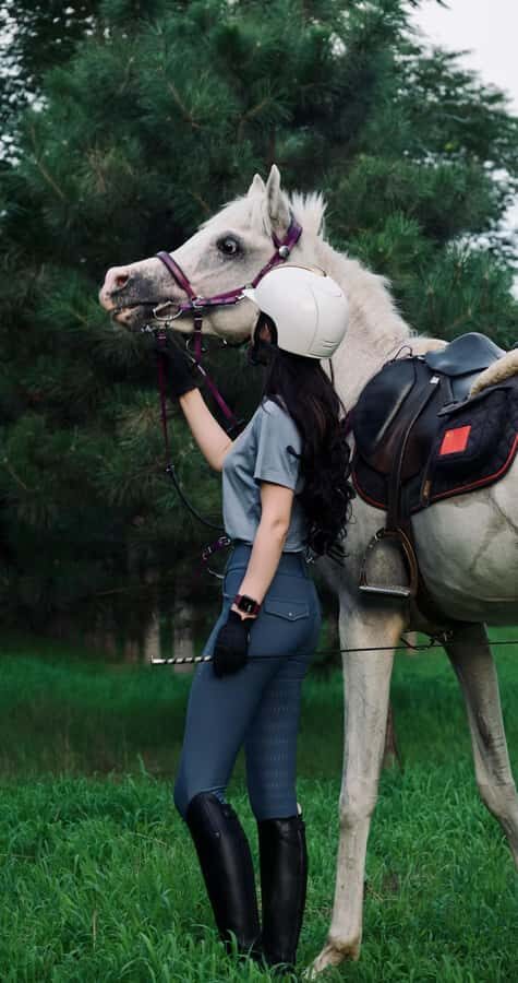 Beijing: Horseback Riding Experience with Dinner - The Dinner: A Cozy End to Your Day