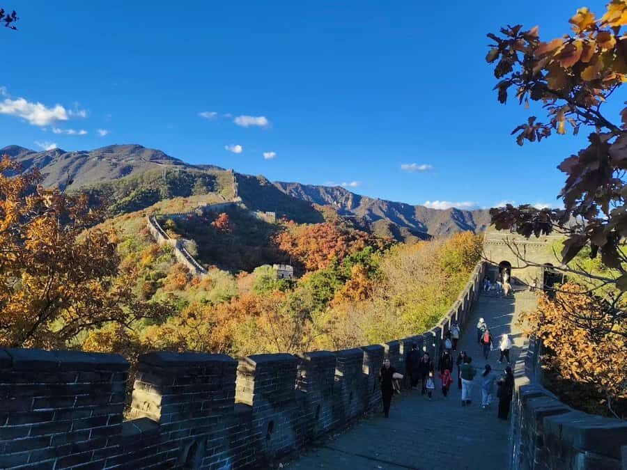 Beijing: Mutianyu Great Wall and Ming Tombs Private Tour - The Sum Up