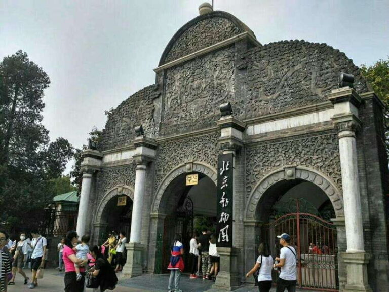 Beijing: The Beijing Zoo Entry Ticket with Pandas - Authentic Experiences & Tips from Past Visitors