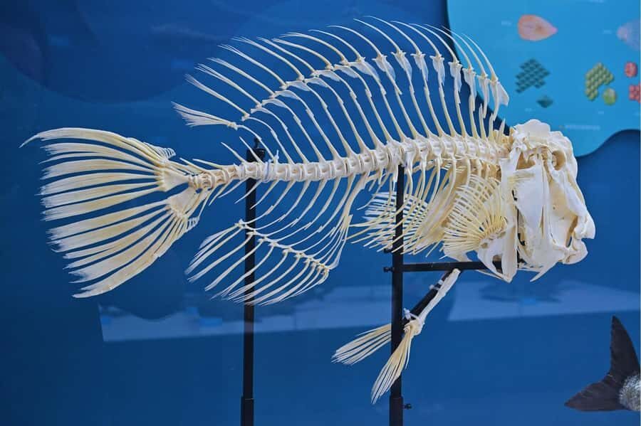 Beijing: Ultimate Cultural TourTemple, Museum & Old Street - Why We Think This Tour Offers Great Value