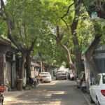 Beijing Walk Tour: HuTong CourtYard Houses Mysteries Decoded - Architectural Insights and Model Assembly