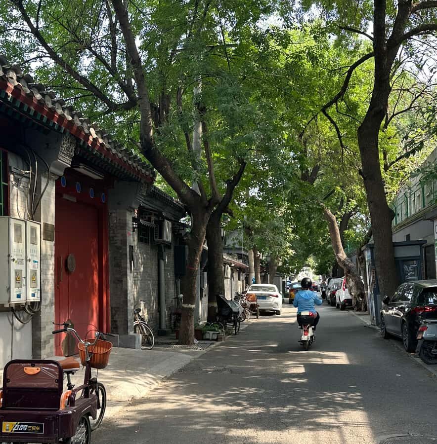 Beijing Walk Tour: HuTong CourtYard Houses Mysteries Decoded - Why This Tour Works for Travelers
