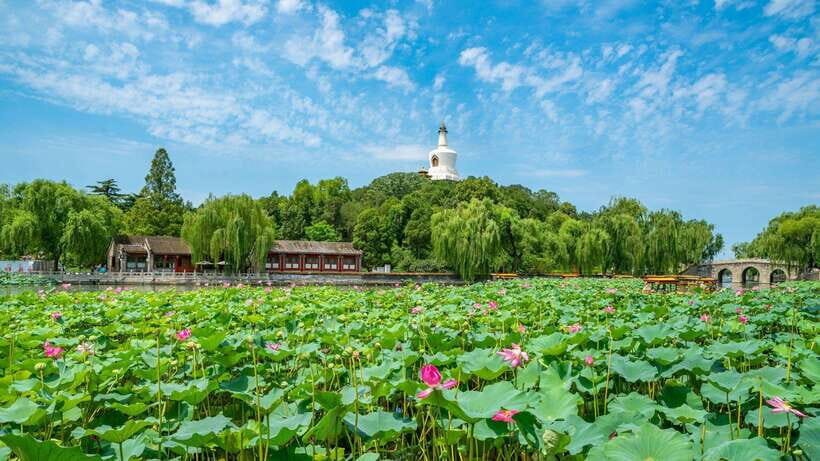 BeijingBeihai Park E-ticket Booking Service - Authentic Insights from Visitors
