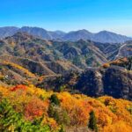 BeijingMutianyu Great Wall & Bird Nest Day Tour - Practical Tips for Travelers