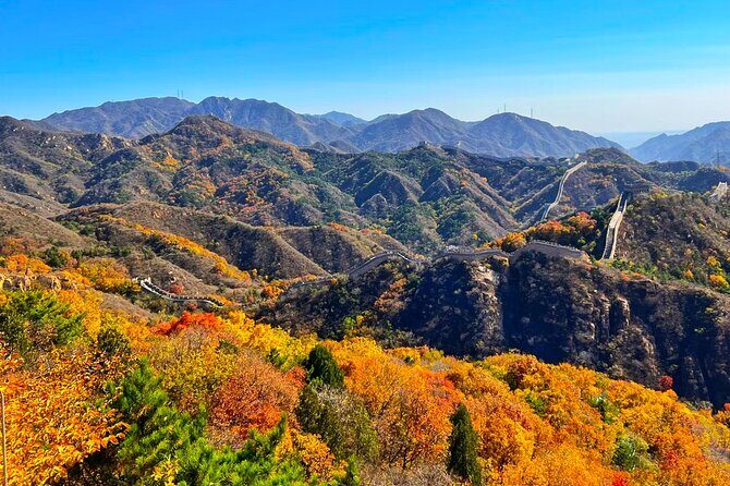 BeijingMutianyu Great Wall & Bird Nest Day Tour - Practical Tips for Travelers