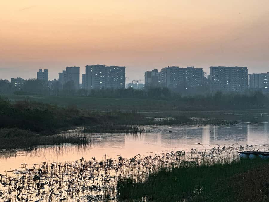 Beijings Hidden Waterways: Walking Tour with Dinner - An In-Depth Look at the Waterways Tour
