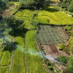 Belihuloya: 3-Night Hiking Tour with Kayaking & Transfers - Exploring the Itinerary in Detail