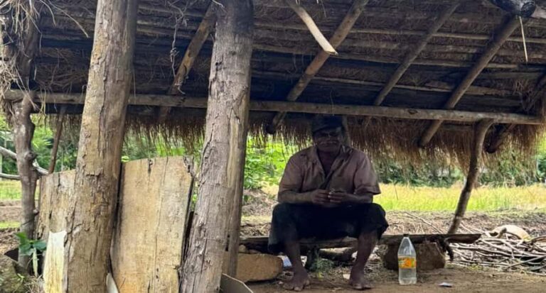 Belihuloya: Ihala Galagama Village Trail Guided Hike - A Detailed Look at the Ihala Galagama Village Trail