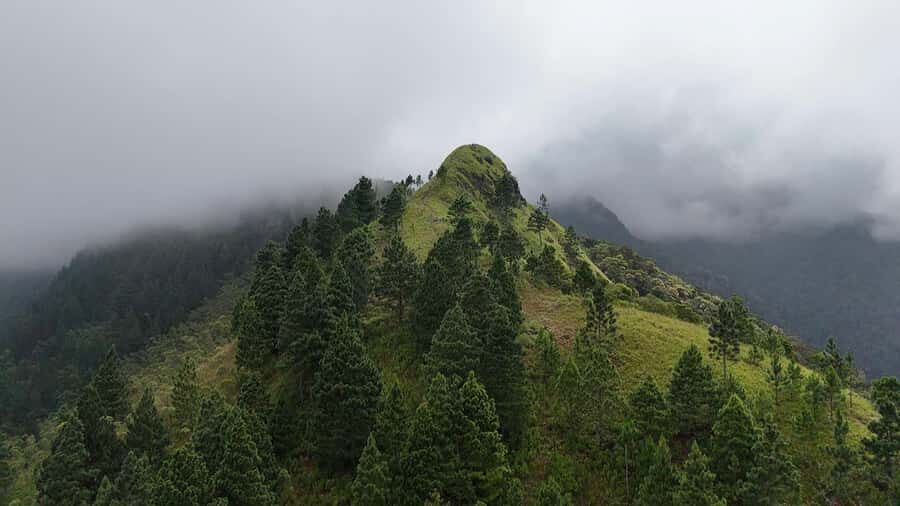 Belihuloya: Three Peaks Trail Guided Hike with Meals - Practical Tips for Your Trip