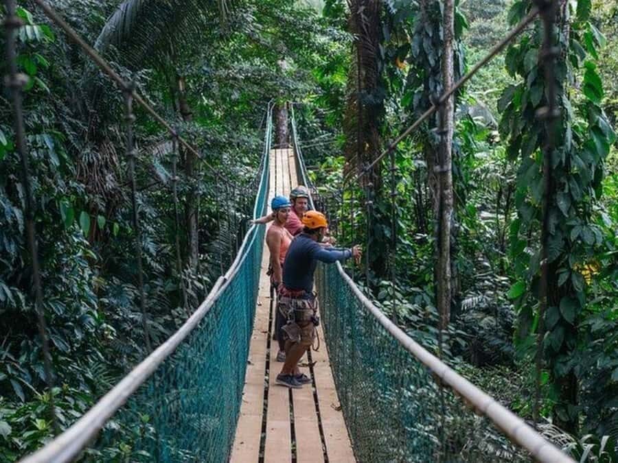 Belize: Thrilling Zipline Adventure at Bocawina Rainforest - Who Will Love This Experience?