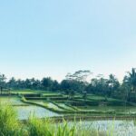 Benang kelambu waterfall and benang stokel waterfall lombok - Who Will Love This Tour?