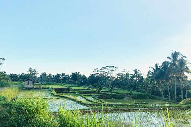 Benang kelambu waterfall and benang stokel waterfall lombok - Who Will Love This Tour?
