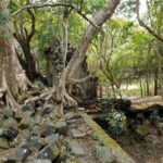 Beng Mealea, Koh Ker & Floating village Day Tour - Koh Ker: An Ancient Capital in the Forest