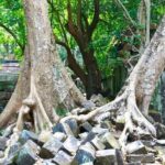 Beng Melea and Koh Ker Jungle Temple Tour from Siem Reap - Who Would Love This Tour?