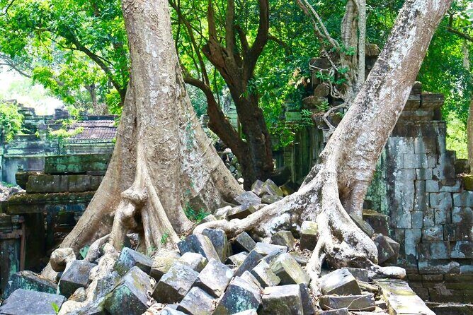 Beng Melea and Koh Ker Jungle Temple Tour from Siem Reap - Who Would Love This Tour?