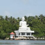 Bentota River Safari By BTM (Mangrove & Wildlife Encounter) - An Overview of the Tour