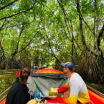 Bentota River Safari: Discover Wildlife & Mangroves by Boat - Who Should Consider This Tour?