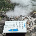 Beppu: Half-Day Beppu Jigoku Tour with Licensed Guide - A Deep Dive into the Beppu Jigoku Tour Experience