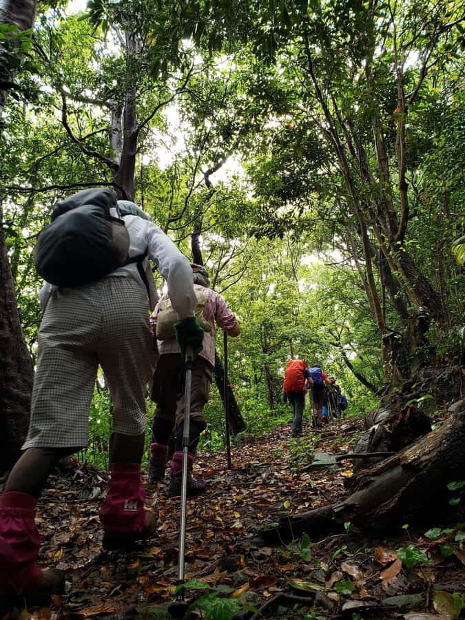 Beppu: Himeshima Island Eco-Cart Tour with Onsen - How the Day Unfolds
