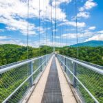 Beppu: Private Shore Excursion Beppu Hells & Sky Bridge - Experiencing Beppu: What You Can Expect