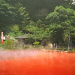 Beppu: Usa Shrine and Jigoku Hell Tour with Licensed Guide - Why This Tour Offers Real Value
