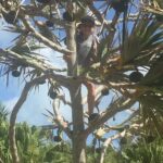 Bermudian Cooking Class" and Walking Shared Tour - Authentic Experiences from Real Travelers