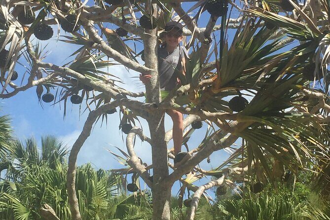 Bermudian Cooking Class" and Walking Shared Tour - Authentic Experiences from Real Travelers