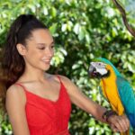 Bespoke Birdworld - An Intimate Experience! - The Experience Itself: What to Expect
