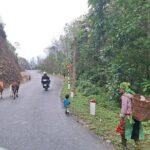 Best Choice Ha Giang Loop Car 5 Days 4 Nights Package Tour - Transport and Group Size