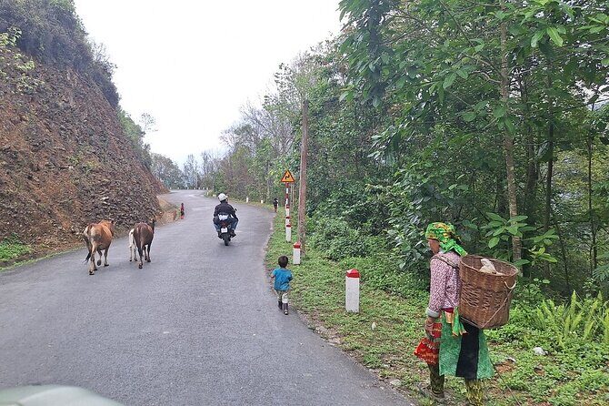 Best Choice Ha Giang Loop Car 5 Days 4 Nights Package Tour - Transport and Group Size