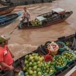 Best Choice Mekong Delta Small Group Tour by Limousine - What’s Included and What’s Not