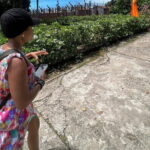 Best Choice Phu Quoc Land Tour: Discover South Island - Who Will Love This Tour?