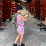 Best Choice Phu Quoc Land Tour: Discover South Island - Why This Tour Offers Great Value