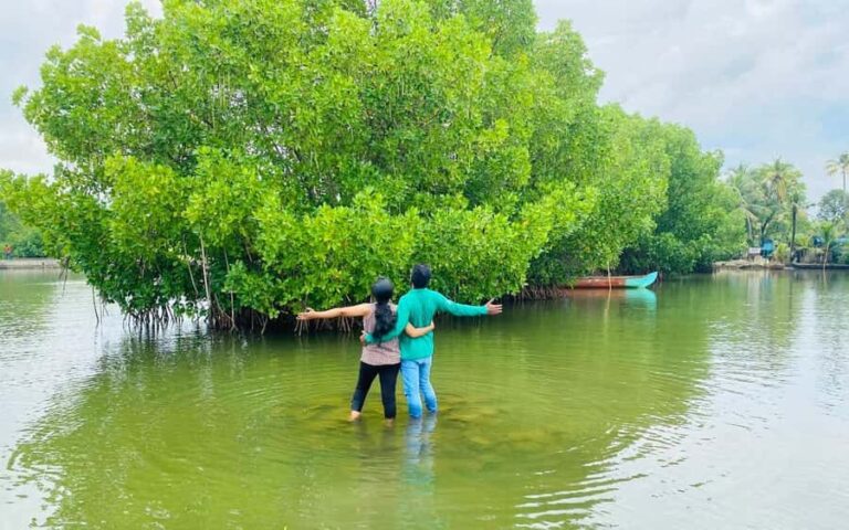 Best Day Tour from Trivandrum to Ashtamudi Lake Backwaters - Practical Details: What You Need to Know