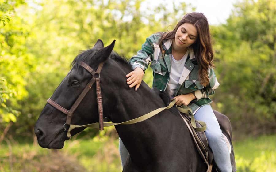 Best Horse Riding Safari Tour from Bangalore - The Itinerary Breakdown