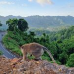 Best Lombok Monkey Forest with Benang Kelambu Waterfall - Breakdowns of the Itinerary