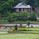 Best Mai Chau Day Trip: Explore Hidden Charms and Village Life - What Makes This Tour Special?
